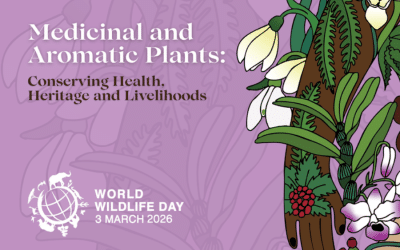 Can we help plants thrive even as we consume them?