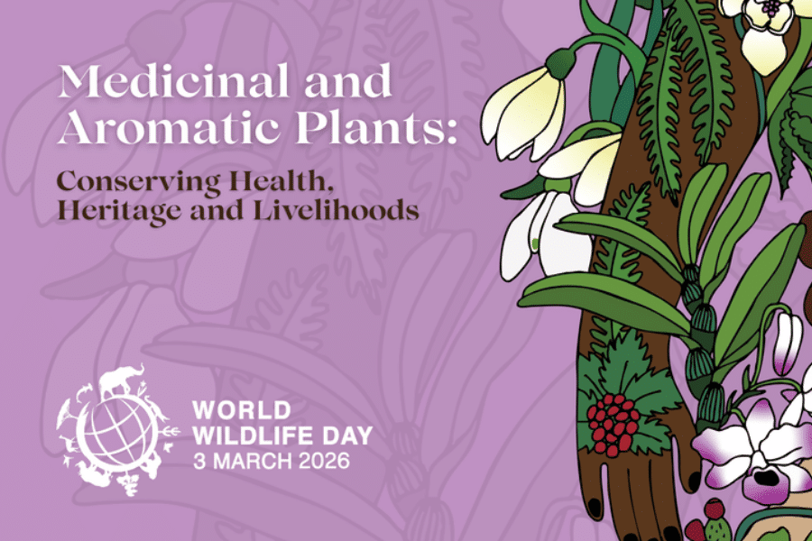 Can we help plants thrive even as we consume them?