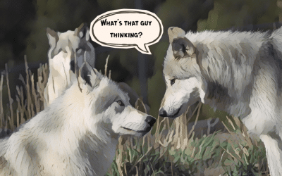 The power of saying little