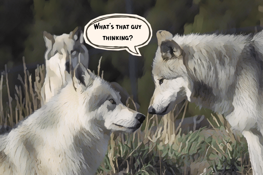 The power of saying little
