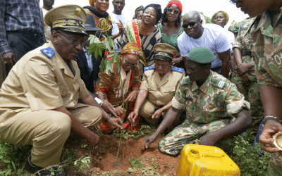 Decoder: Turning a desert green takes more than money