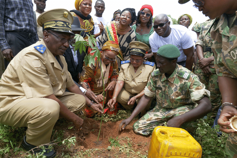 Decoder: Turning a desert green takes more than money