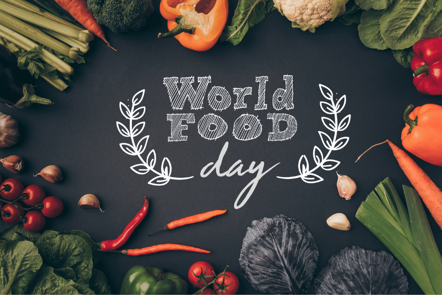Why can’t we feed the world?